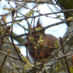 109_MN du 23 mars 16