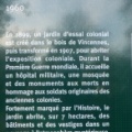P1020981