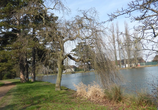 P1030005