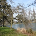 P1030005
