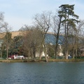 P1030006