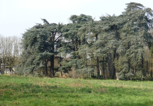 P1030007