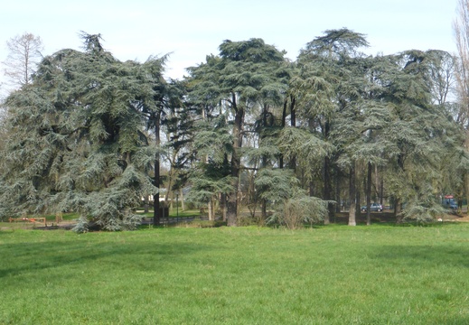 P1030010