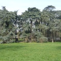 P1030010
