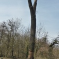 P1030012