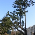 P1030039