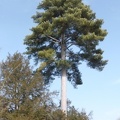 P1030075
