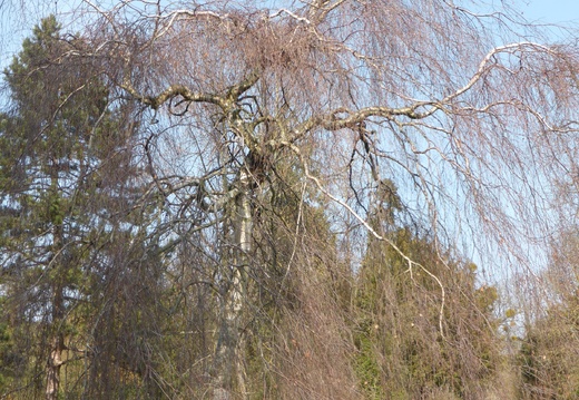 P1030076