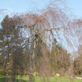 P1030076