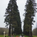 P1030146