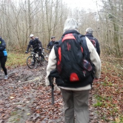 Forêt de l'Isle Adam (95)