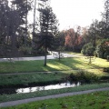 20151128_Parc du Pré Catelan_2