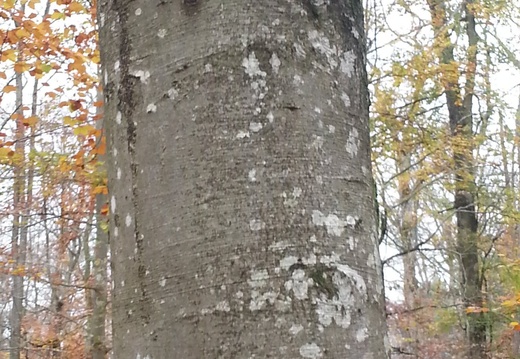 20151107_103603