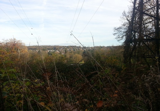 20151107_140205