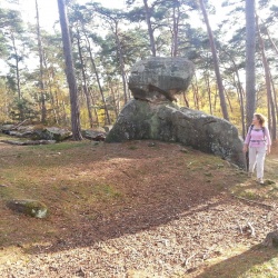 Samois sur Seine (77)