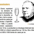 Cassisiers
