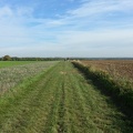 20151024_140359