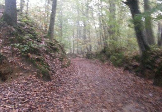 20151017_092035