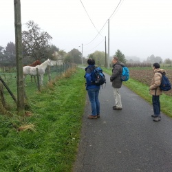 Dampierre en Yvelines