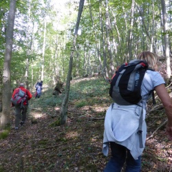 Dourdan Sainte-Mesme