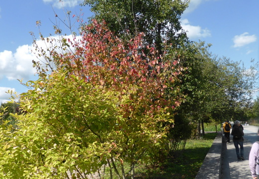 P1180542