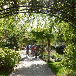 Les rives de seine Chatou-Bezons