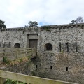 P1020346