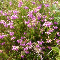 Séjour Crozon Morgat 27 juin 2015