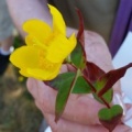 20150629_124744
