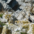P1020383