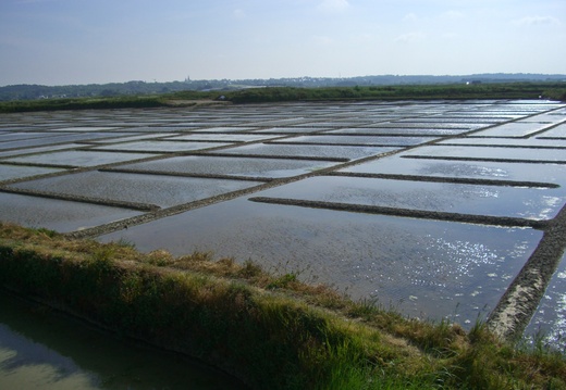 Séjour à Guérande Séjour à Guérande