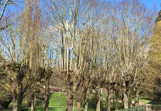 20160403_Sceaux-12
