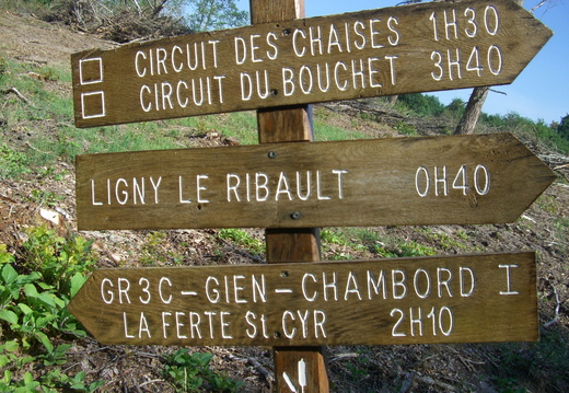 Sur le GR3 en Sologne