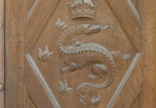 La Salamandre royale