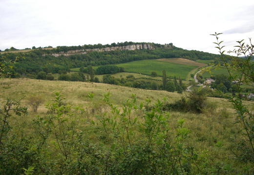 6 Falaises au-dessus de Baubigny sentier des Roches (21)