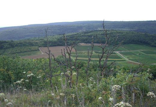 8 Sentier des Roches 2