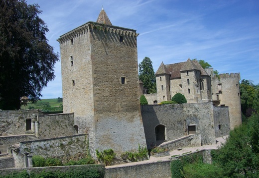 Château de la Reine Marguerite à Couches_2 (71)