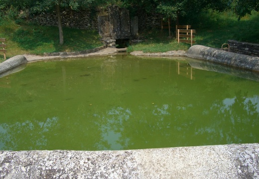 la fontaine du chêne - Orches (21)