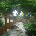 CIMG3500 Joli petit pont au pied d'une cascade