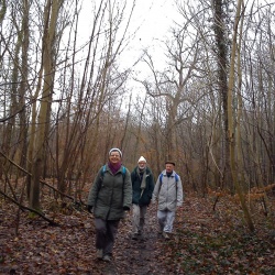 Forêt de Saint Germain