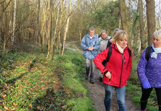 IMG_0122