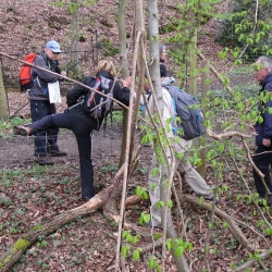 112_Jouy en Josas (78) 2016