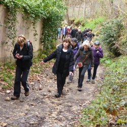 112_Jouy en Josas (78) 2016