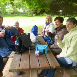 91_ F. St Germain le petit sentier (78) 