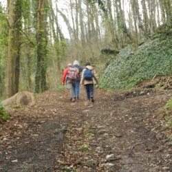 La porte aux chiens à Gaillon (27)