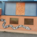 DSCN2926