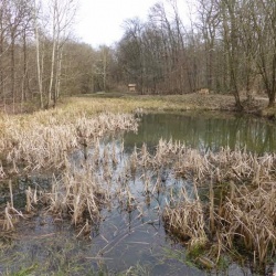 Coulée verte sud