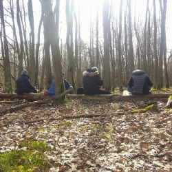 85_Ollainville 01 fév 15