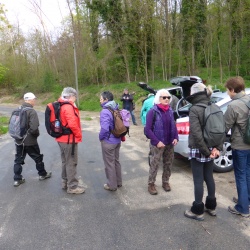 113_ Forêt de Montmorency (95)