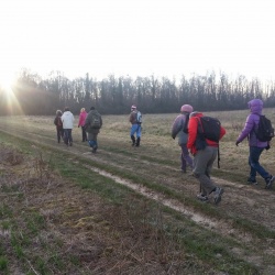 Le saut du postillon